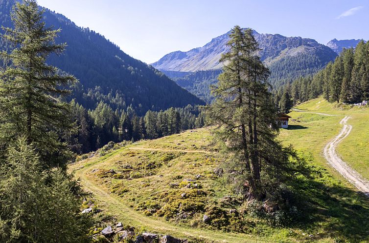 Appartement Mont-Fort 70