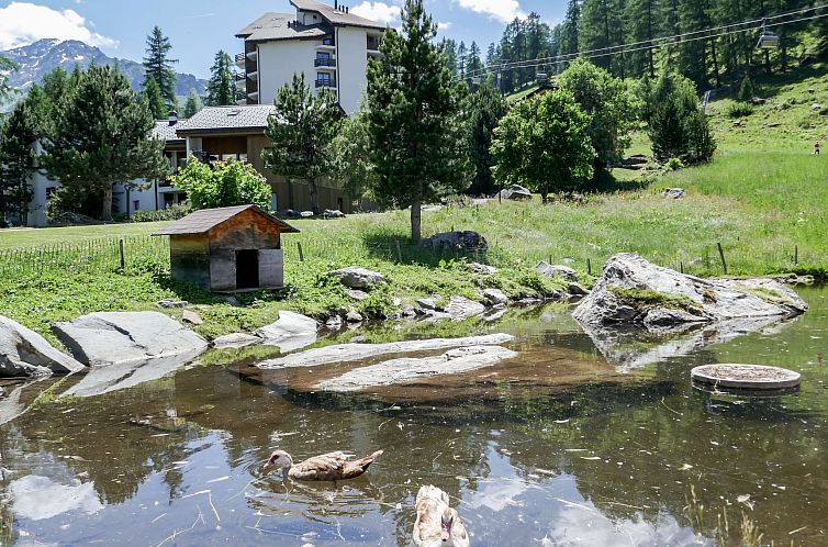 Appartement Mont-Fort 70