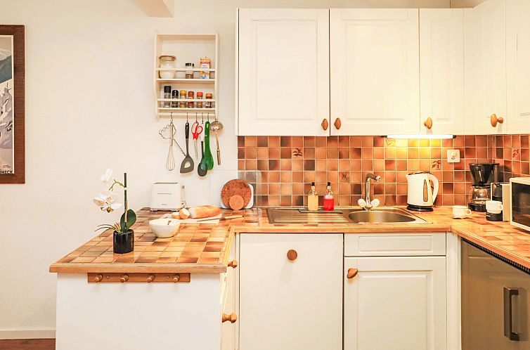 Appartement Dents Rousses E3