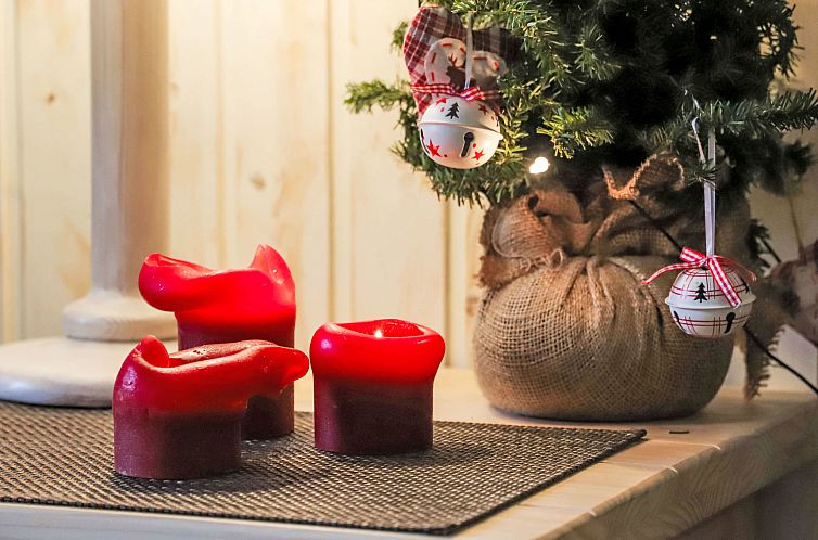 Appartement Dents Rousses E3