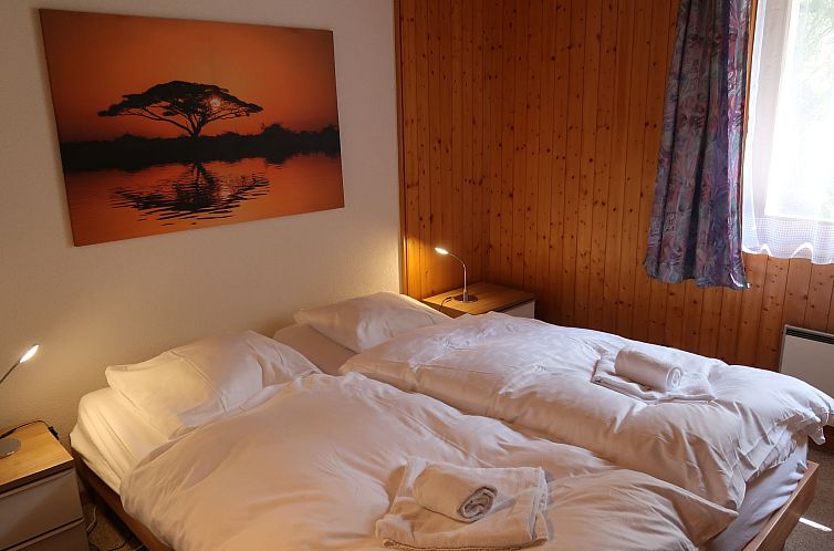 Appartement Mont-Fort D1