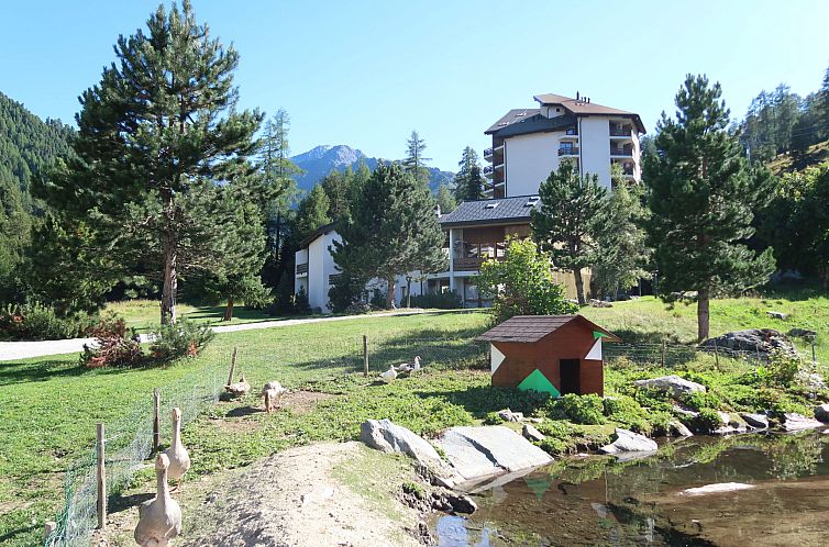 Appartement Mont-Fort D1