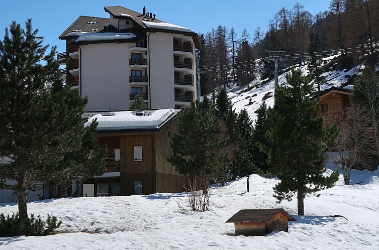 Appartement Mont-Fort D1