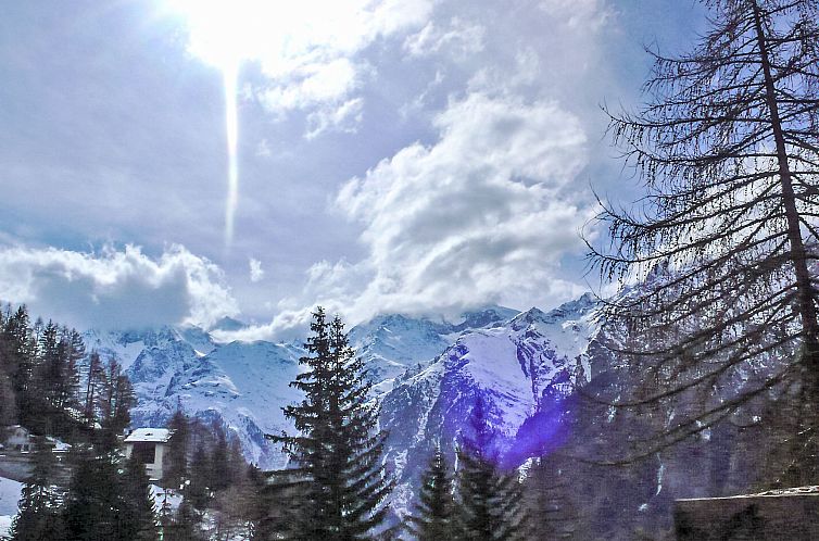 Appartement Lärchenheim