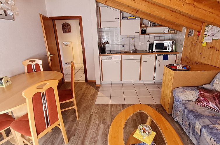 Appartement Chalet Haus (bei Einfahrt grosser Nussbaum )