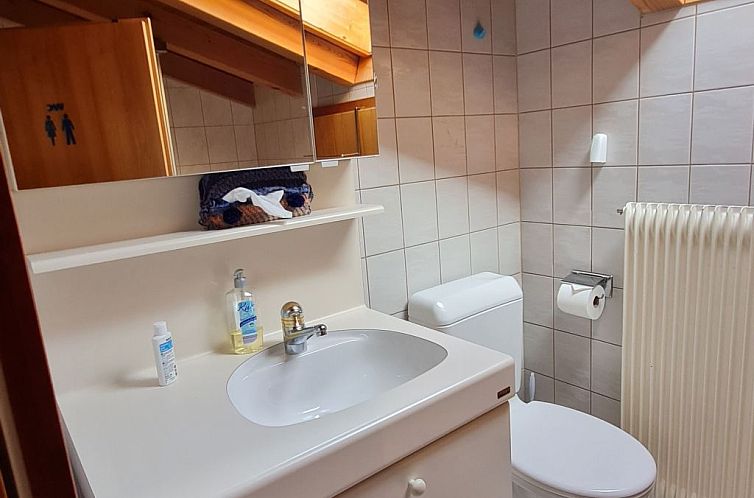 Appartement Chalet Haus (bei Einfahrt grosser Nussbaum )