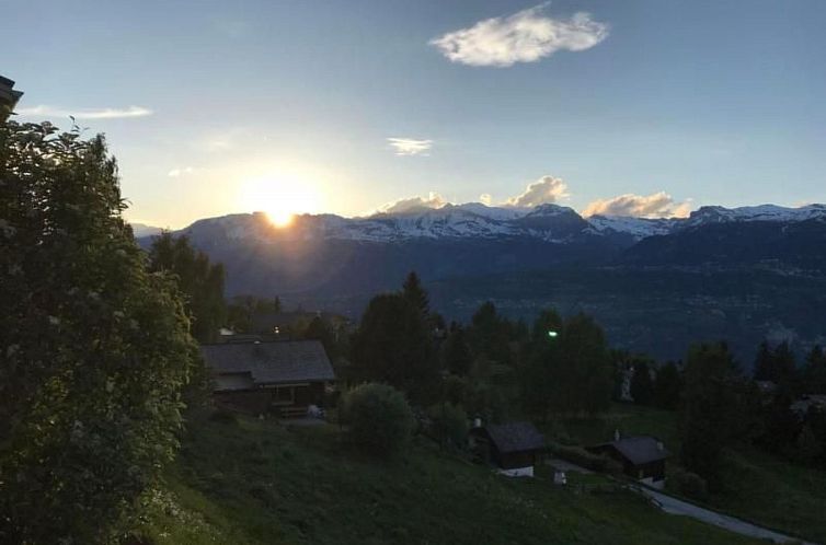 Vakantiehuis Blue Merle