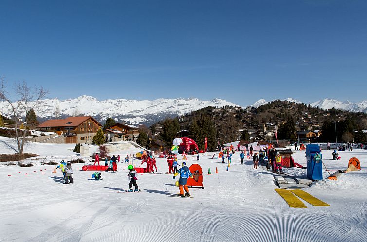 Vakantiehuis Chalet Albarose - Vercorin