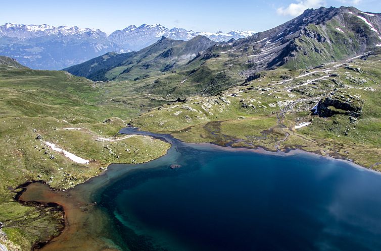 Vakantiehuis Chalet Albarose - Vercorin