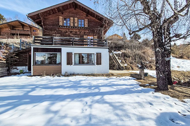 Vakantiehuis Chalet Le Rhônasson