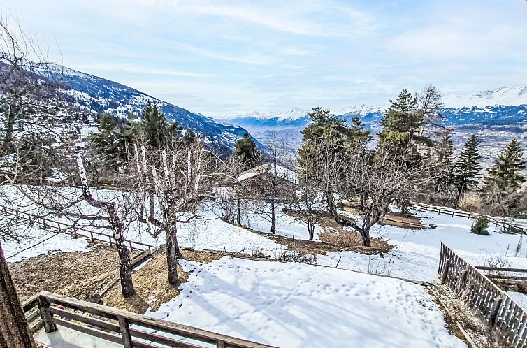 Vakantiehuis Chalet Le Rhônasson