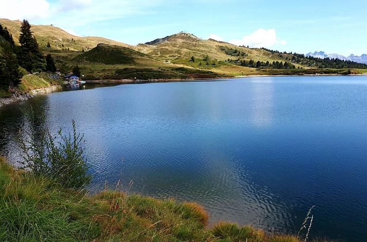 Appartement Robert 1. OG Süd