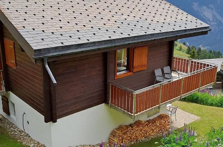 Vakantiehuis Chalet Brunnquell