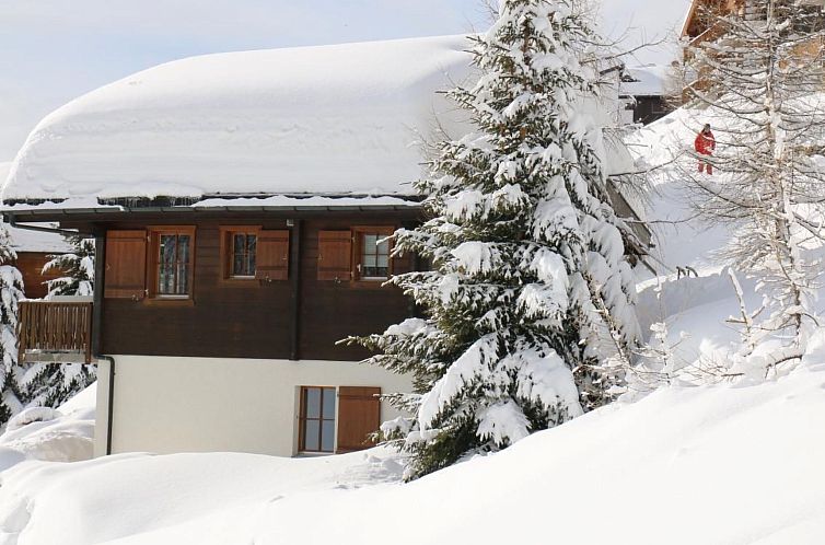 Vakantiehuis Chalet Brunnquell