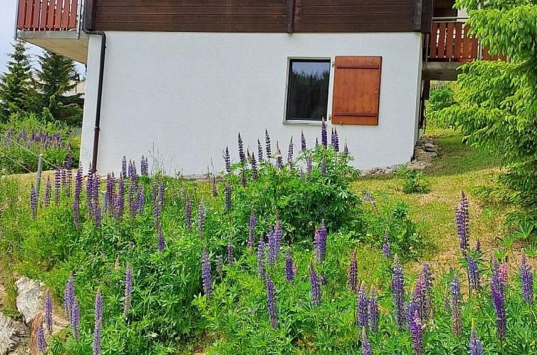 Vakantiehuis Chalet Brunnquell