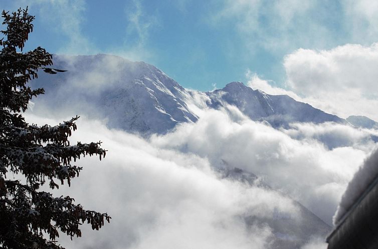 Appartement Bärgblüemli EG Süd