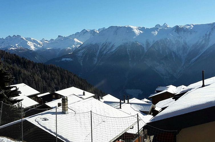 Appartement Konkordia 2 EG Süd-Ost