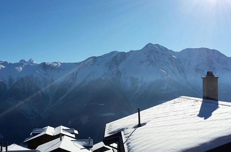 Appartement Konkordia 2 EG Süd-Ost