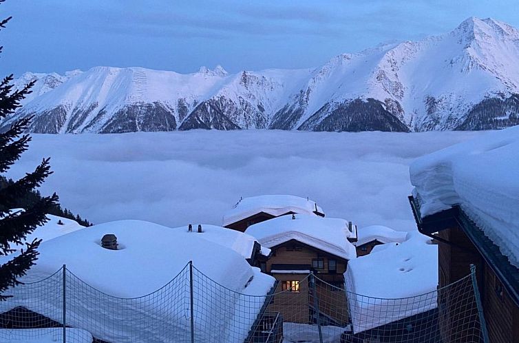 Appartement Konkordia 2 EG Süd-Ost