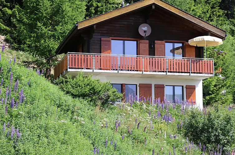 Appartement Brunnquell