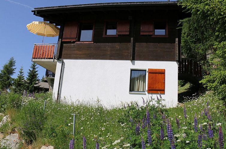 Appartement Brunnquell