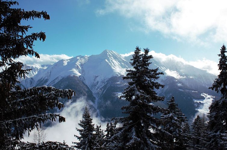 Appartement Bärgblüemli 2. OG Ost