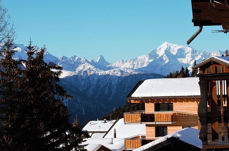 Appartement Bärgblüemli 2. OG Ost