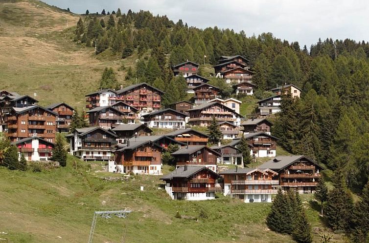 Appartement Bärgblüemli 1. OG West