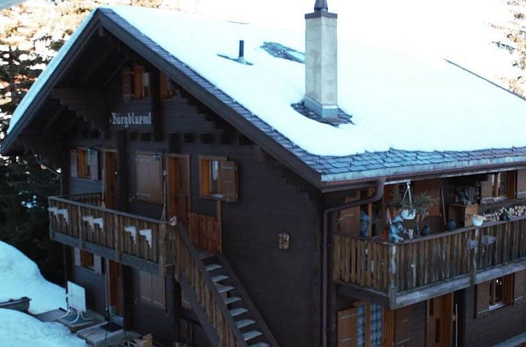 Appartement Bärgblüemli 1. OG West Appartement/Fewo, Dusch