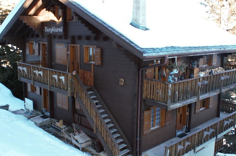 Appartement Bärgblüemli 1. OG West Appartement/Fewo, Dusch