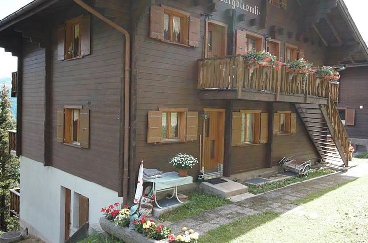 Appartement Bärgblüemli EG Süd Appartement/Fewo, Dusche o