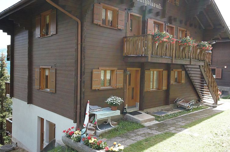 Appartement Bärgblüemli EG Süd Appartement/Fewo, Dusche o