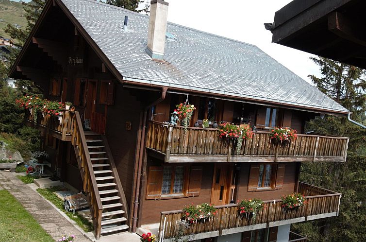 Unterkunft 1847532 - Appartement Wallis - Appartement Bärgblüemli 2. OG Ost Studio, Dusche oder Bad,