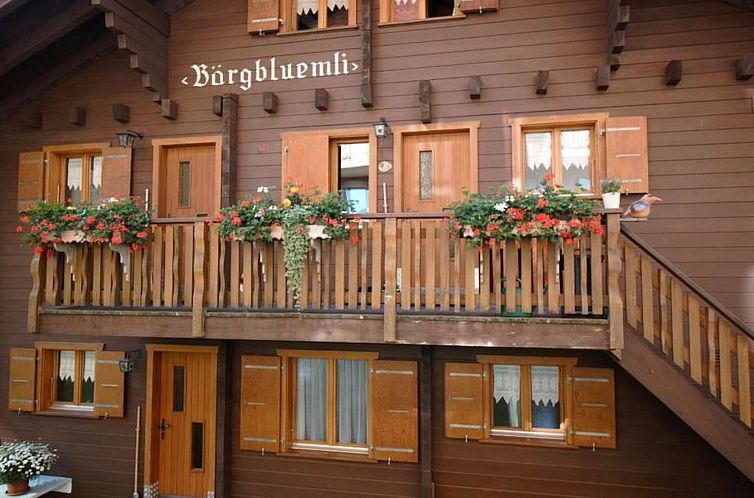 Appartement Bärgblüemli 2. OG Ost Studio, Dusche oder Bad,