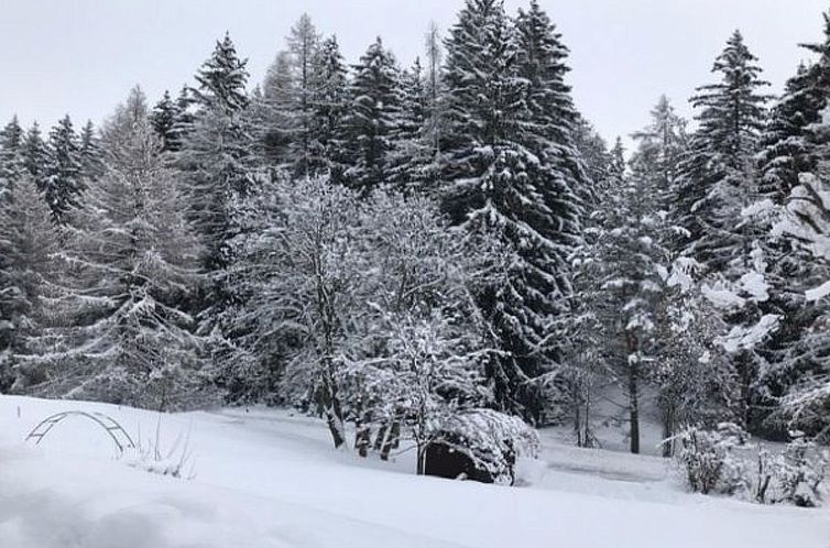 Vakantiehuis Chalet Les Girolles - Anzère