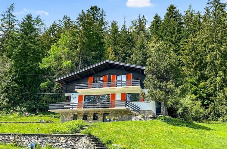 Vakantiehuis Chalet Les Girolles - Anzère