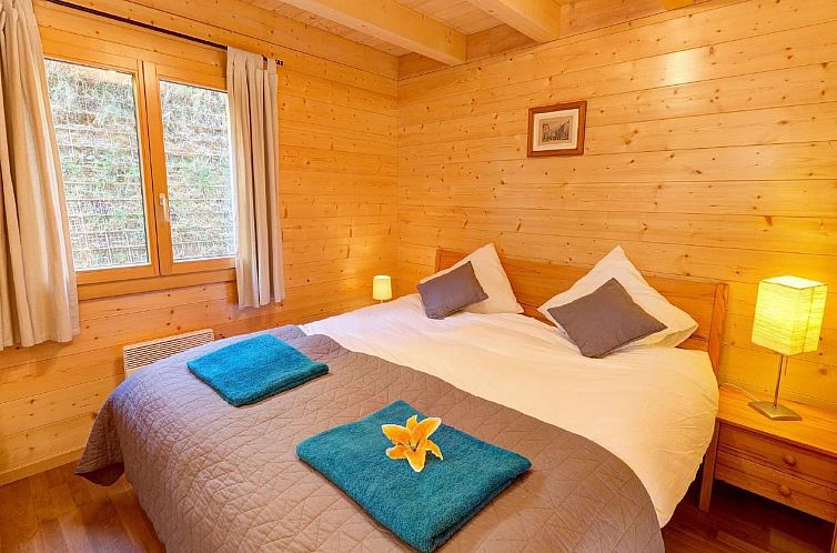 Vakantiehuis Etoile des 4 Vallees