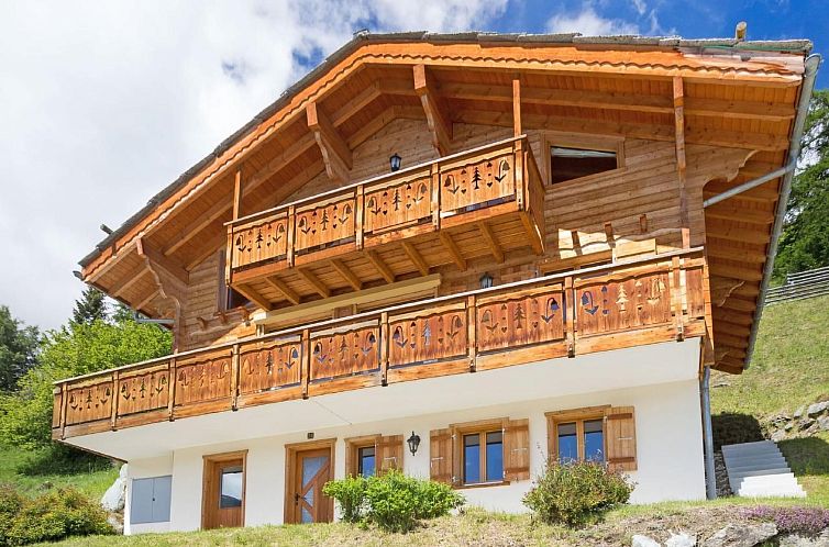 Vakantiehuis Chalet Mountain Star