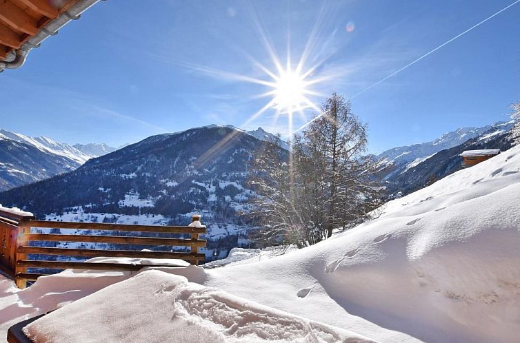 Vakantiehuis Chalet Mountain Star
