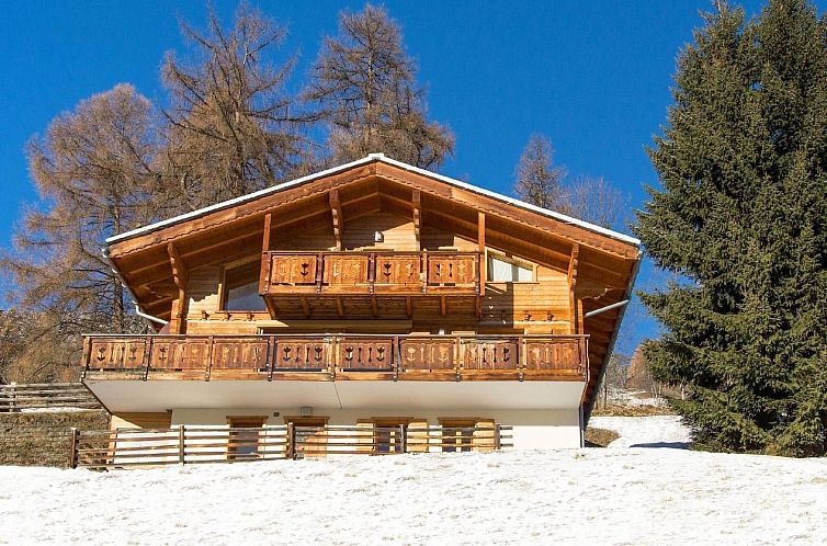 Vakantiehuis Chalet Greppon Blanc