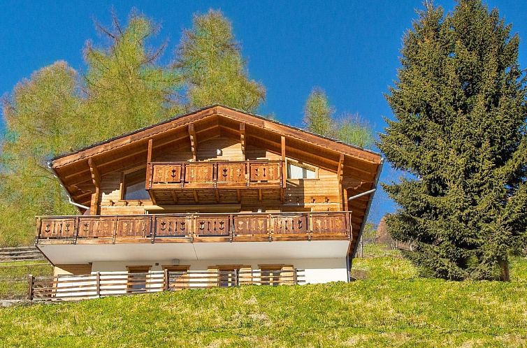 Vakantiehuis Chalet Greppon Blanc