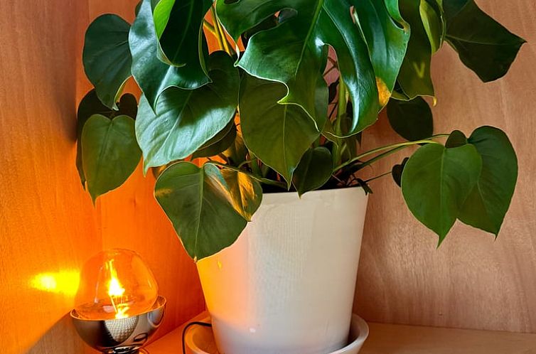 Vakantiehuisje in Soalhães