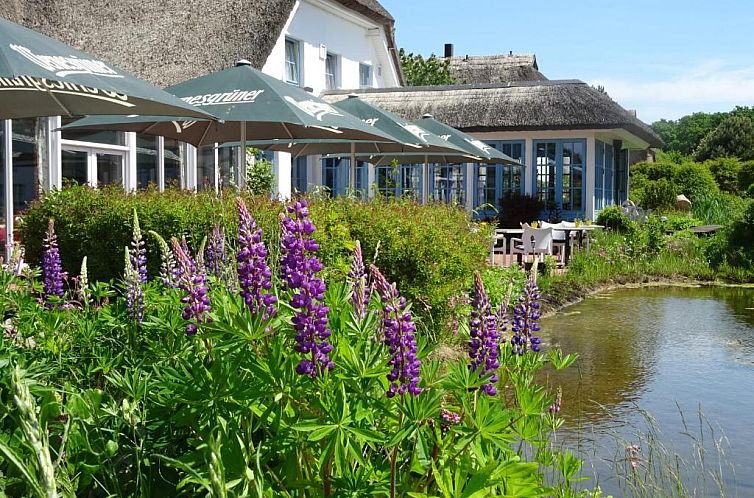 Guest house 18619902 - Apartment Mecklenburg-Vorpommern - Wreecher Hof