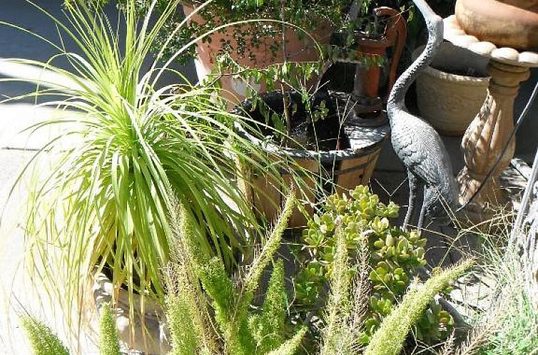 Colusa Riverside Inn