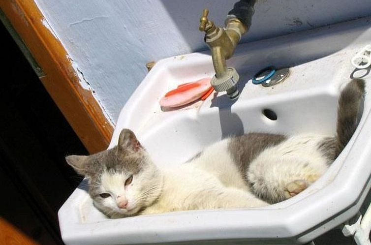 Appartement Casa Zollo - nahe den Karpaten Transsilvaniens