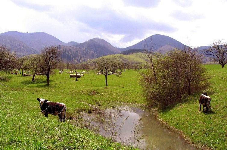 Appartement Casa Zollo - nahe den Karpaten Transsilvaniens