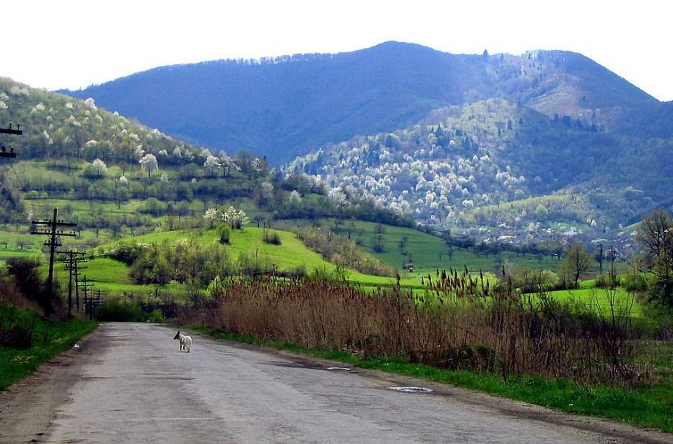 Appartement Casa Zollo - nahe den Karpaten Transsilvaniens