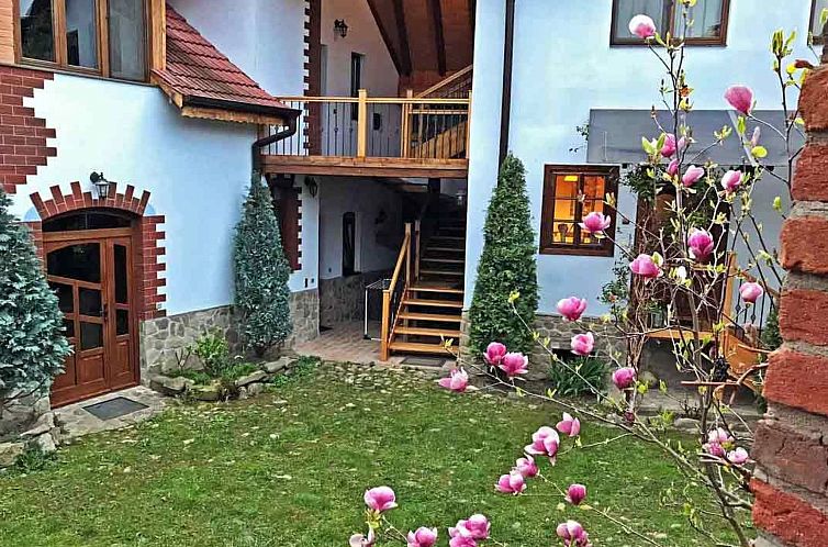 Vakantiehuis Casa Nicu - traditionelles Landhaus in Hirtendo