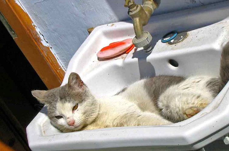 Vakantiehuis Casa Nicu - traditionelles Landhaus in Hirtendo