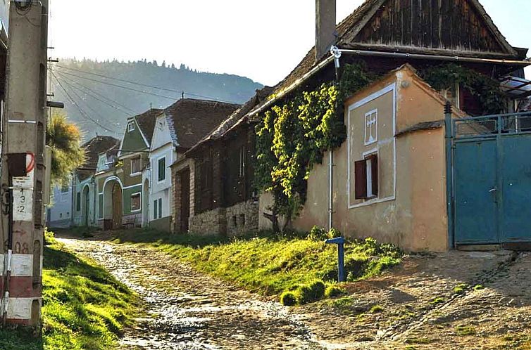 Vakantiehuis Casa Nicu - traditionelles Landhaus in Hirtendo